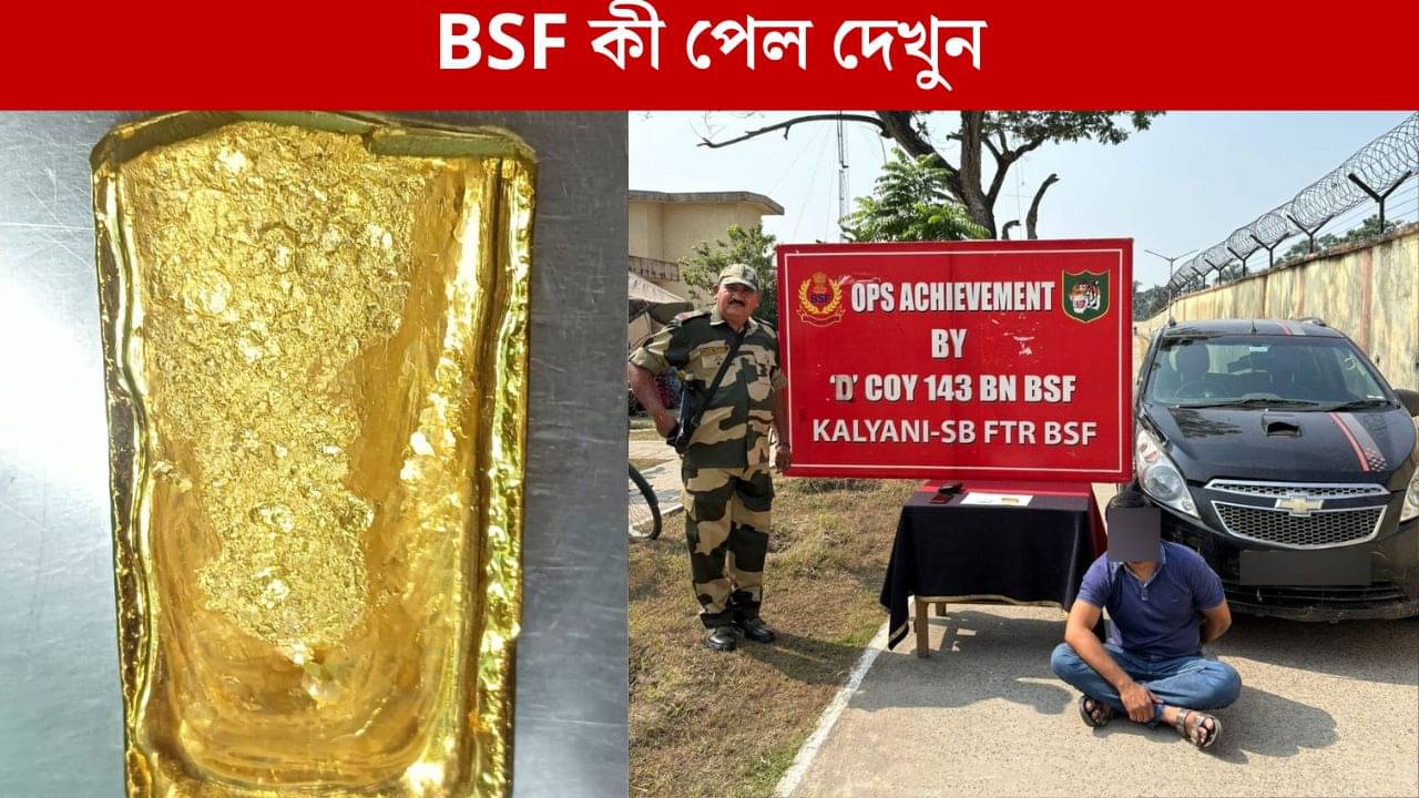 BSF Jawan news: ৭৬ লক্ষ টাকার সোনা! পাচার করার আগেই তুলে নিল BSF