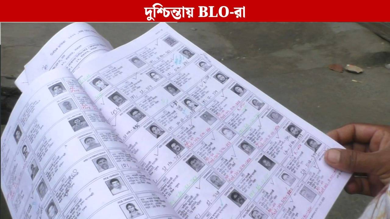 North 24 Parganas: এখনও ট্রেনিং শুরু হয়নি, নানা ইস্যুতে জর্জরিত  BLO-রা