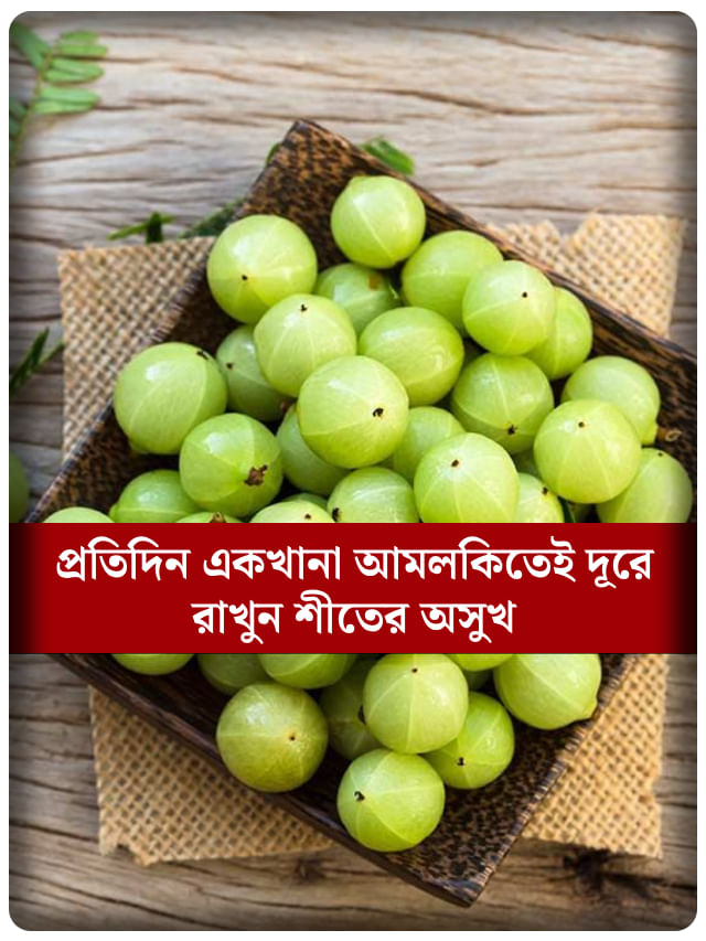 শীতের প্রাকৃতিক ঢাল! রোজ একখানা আমলকিতেই হবে কামাল