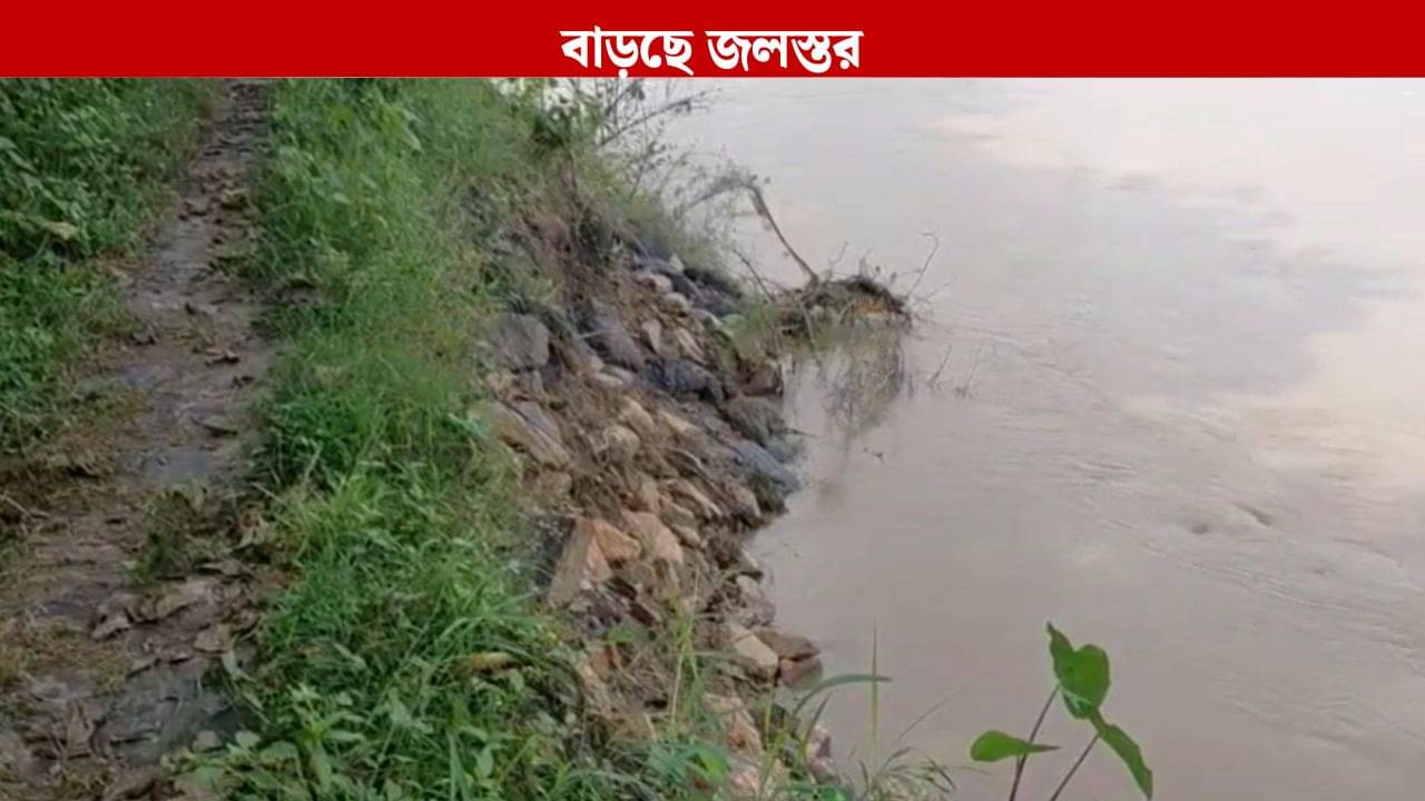 Burdwan: নদ তীরবর্তী এলাকায় চলছে মাইকিং, DVC জল ছাড়ছে, বাড়ছে দমোদরের জলস্তর