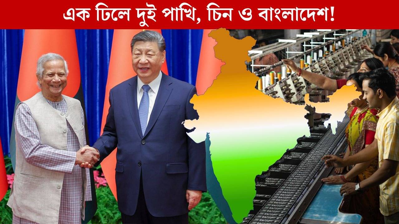 এবার Jinping আর Yunus-কে একসঙ্গে ভাতে মারার পরিকল্পনা! কোন অস্ত্রে ঘায়েল হবে China, Bangladesh?
