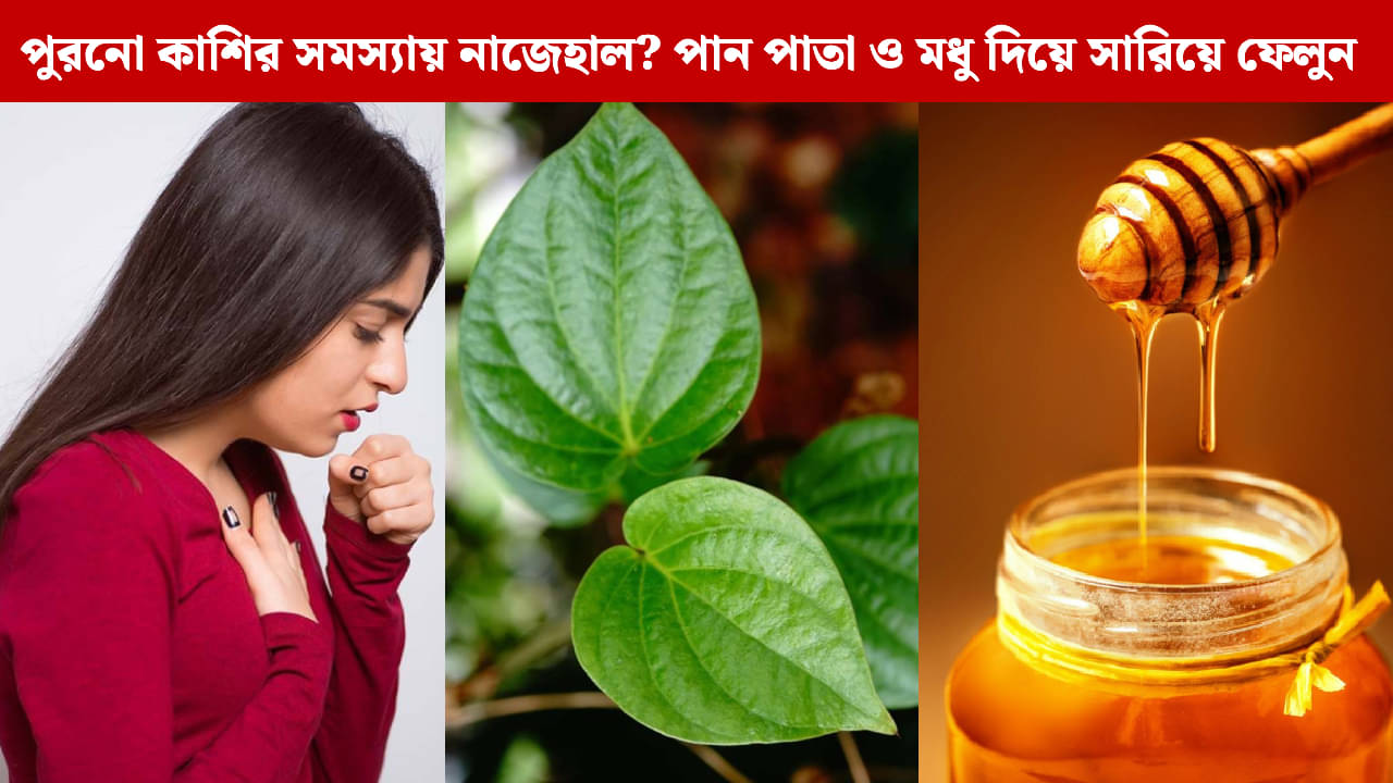 Chronic Cough Remedies: ঠাকুমার টিপস: পুরনো কাশি সারাতে পান পাতার সঙ্গে মধু, কতটা ভরসা করা যায় এই ঘরোয়া টোটকায়?
