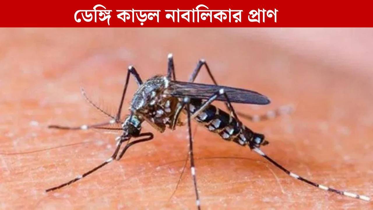 Dengue: ডেপুটি মেয়রের ওয়ার্ডে ডেঙ্গি আক্রান্ত নাবালিকার মৃত্যু