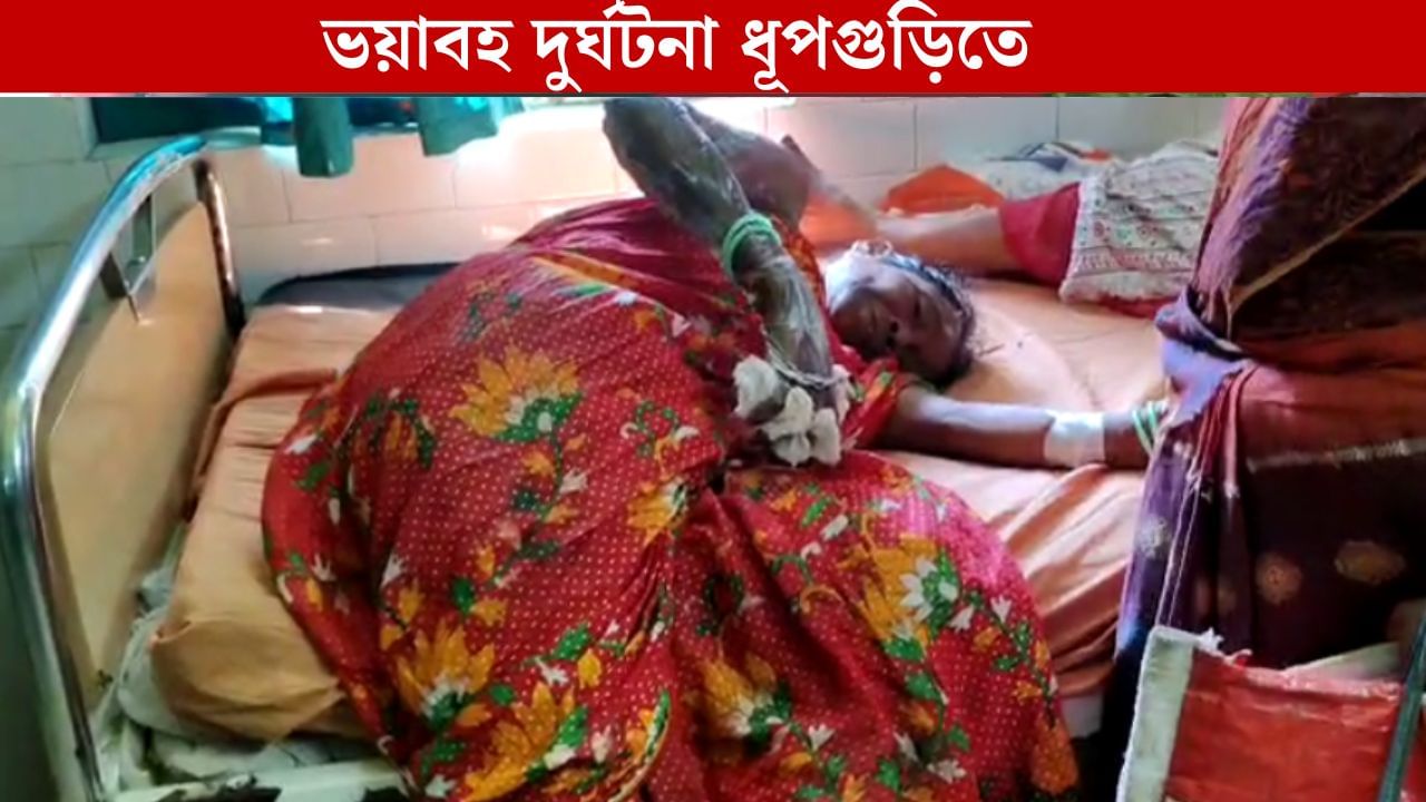 Dhupguri: হঠাৎ এসে গুঁতো মারল গরু, ফুটন্ত তেলের কড়াইয়ে পড়ে আহত ৪ Dhupguri: হঠাৎ এসে গুঁতো মারল গরু, ফুটন্ত তেলের কড়াইয়ে পড়ে আহত ৪