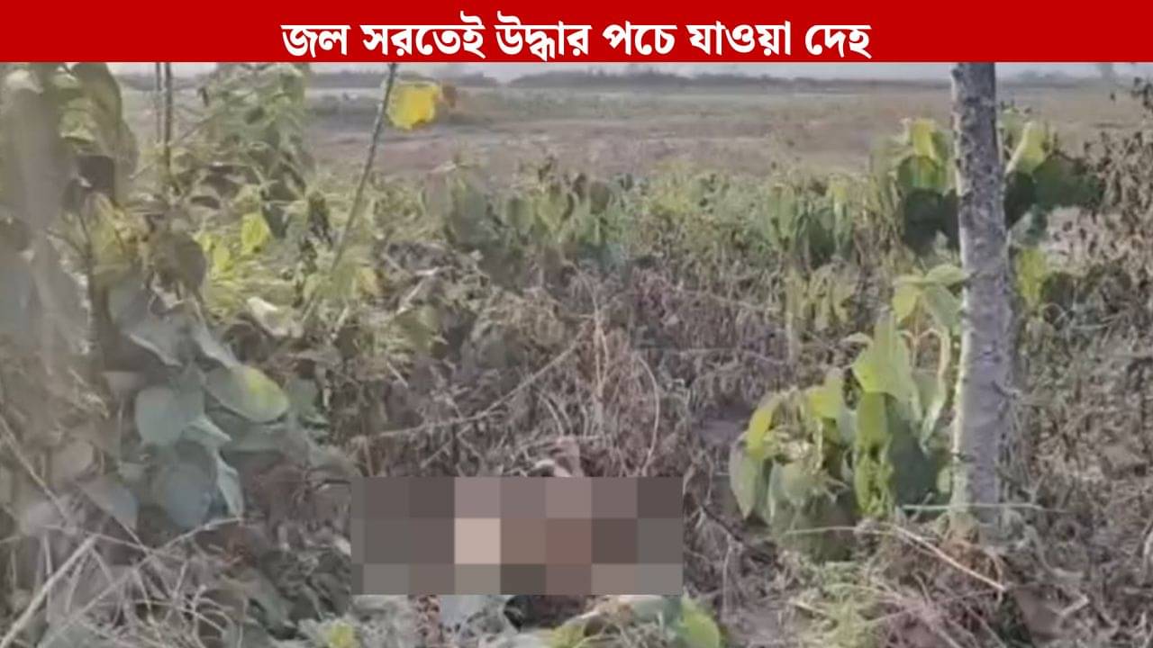 North Bengal Disaster: এখনও মিলছে লাশ, বিপর্যস্ত উত্তরবঙ্গে কেবল বামনডাঙা থেকেই উদ্ধার ১০ টি দেহ