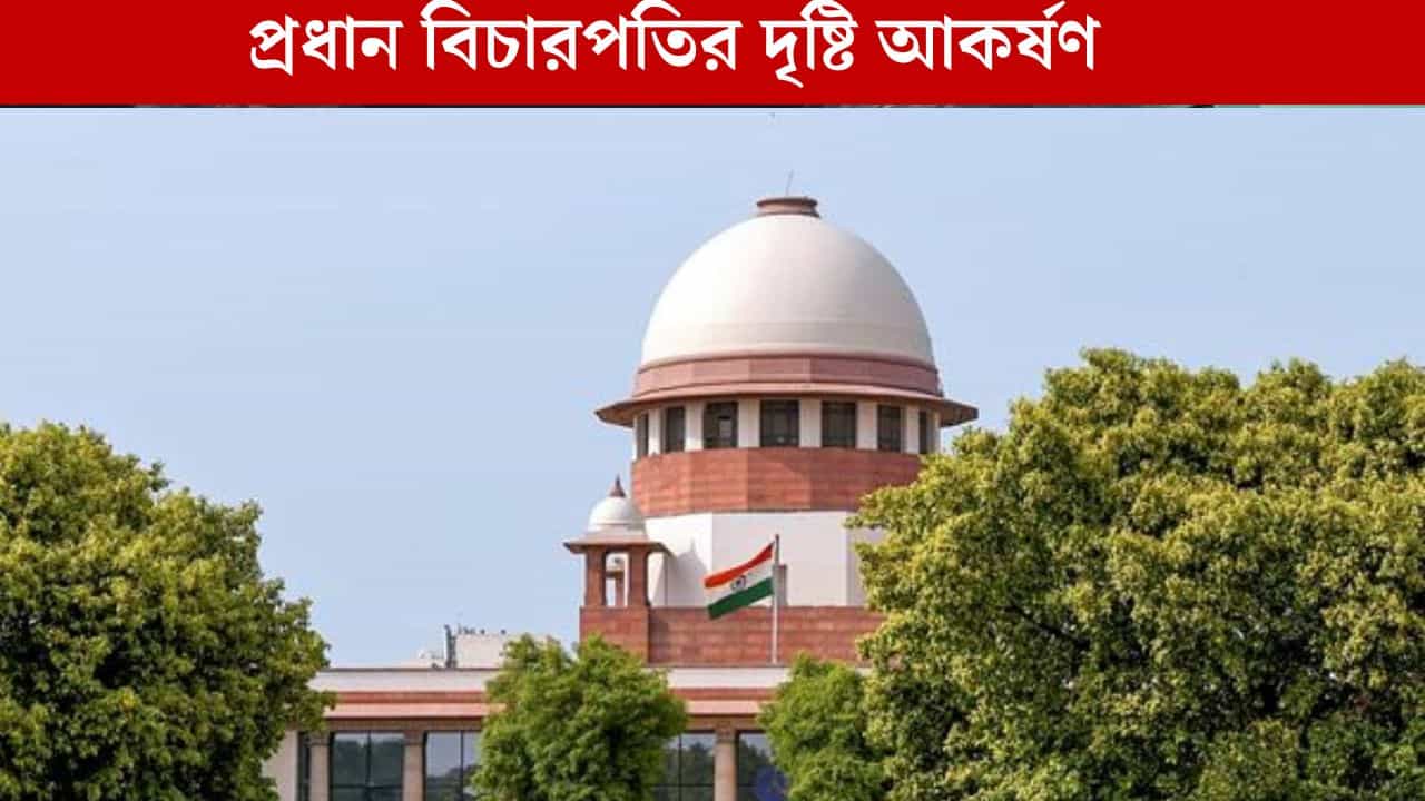 Durgapur News: শিক্ষাপ্রতিষ্ঠানে নিরাপত্তা দিতে ব্যর্থ সরকার, প্রধান বিচারপতির দৃষ্টি আকর্ষণ ডাক্তারদের