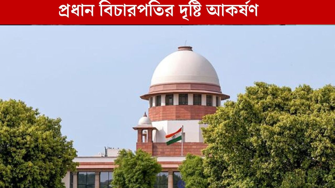 Durgapur News: শিক্ষাপ্রতিষ্ঠানে নিরাপত্তা দিতে ব্যর্থ সরকার, প্রধান বিচারপতির দৃষ্টি আকর্ষণ ডাক্তারদের