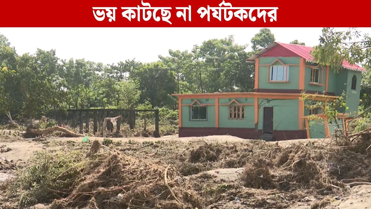 Dooars: এক রাতের দুর্যোগ যেন সব শেষ করে দিল! উৎসবের ভরা মরসুমেও খাঁ খাঁ করছে ডুয়ার্স Dooars: এক রাতের দুর্যোগ যেন সব শেষ করে দিল! উৎসবের ভরা মরসুমেও খাঁ খাঁ করছে ডুয়ার্স