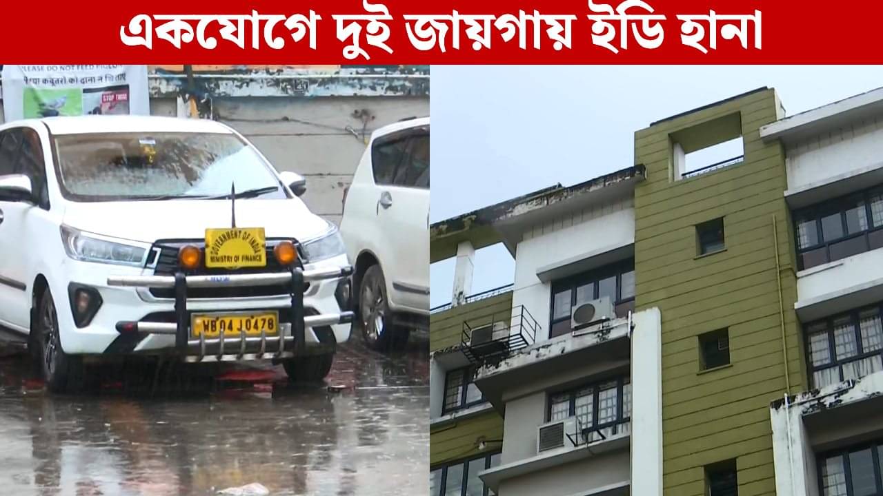 ED Raid: পুর নিয়োগ দুর্নীতির যোগ? ব্যবসায়ীর বাড়িতে ইডি হানা দিতেই উদ্ধার ১০ কোটির সোনা, বিপুল নগদ