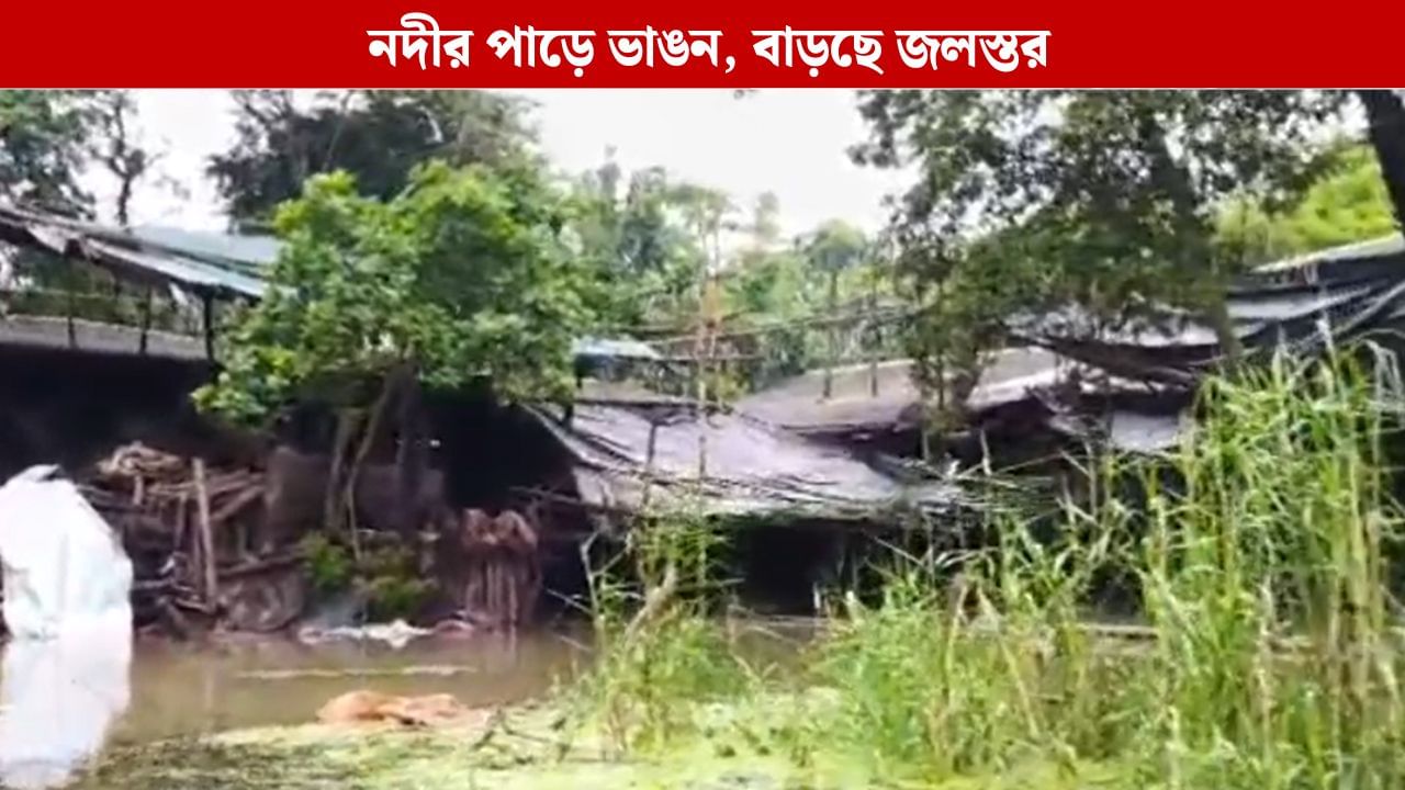 Erosion: কেলেঘাই কপালেশ্বরী নদীর পাড়ে ভাঙন, বিপদসীমার ওপর বইছে জলস্তর Erosion: কেলেঘাই কপালেশ্বরী নদীর পাড়ে ভাঙন, বিপদসীমার ওপর বইছে জলস্তর
