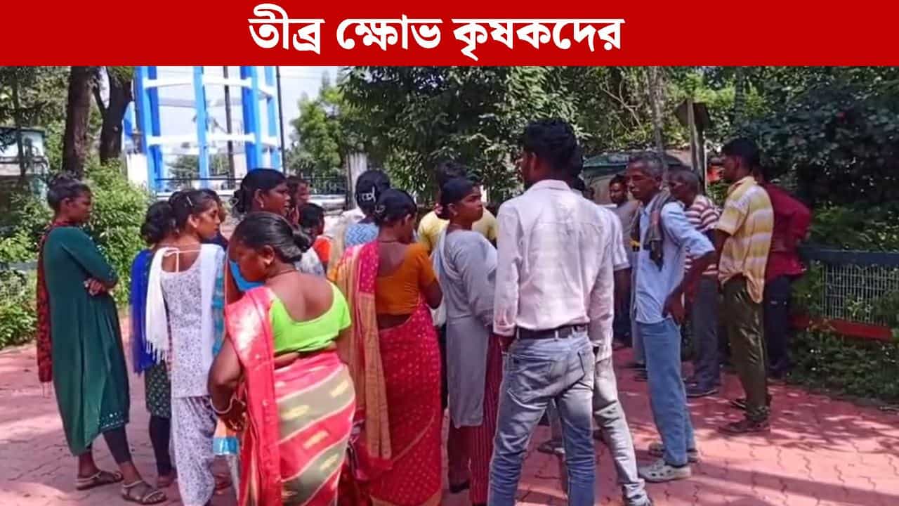 Dhupguri: কবে মিলবে ক্ষতিপূরণ? রাতভর হাতির তাণ্ডবের পরেই তুমুল বিক্ষোভ আছড়ে পড়ল রেঞ্জ অফিসে Dhupguri: কবে মিলবে ক্ষতিপূরণ? রাতভর হাতির তাণ্ডবের পরেই তুমুল বিক্ষোভ আছড়ে পড়ল রেঞ্জ অফিসে