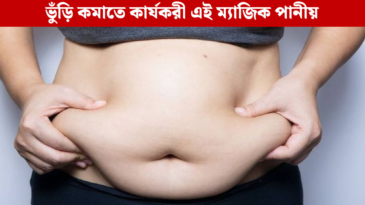 Belly Fat Burn Tips: মেথি জল নাকি আদা জল, পেটের চর্বি গলাতে ভাল কাজ করে কোনটা?