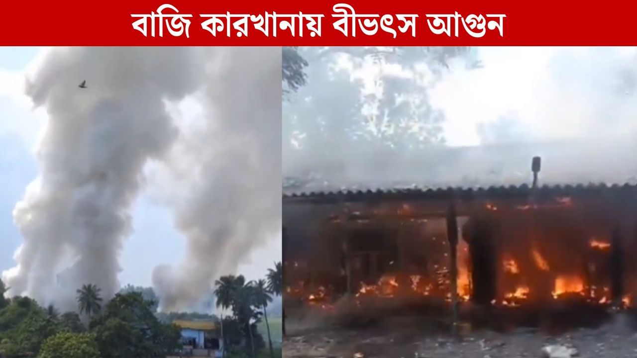 Fire at Firecracker Factory: কালীপুজোর আগেই বাজি কারখানায় বিস্ফোরণ, বীভৎস আগুনে মৃত্যু ৬ শ্রমিকের Fire at Firecracker Factory: কালীপুজোর আগেই বাজি কারখানায় বিস্ফোরণ, বীভৎস আগুনে মৃত্যু ৬ শ্রমিকের