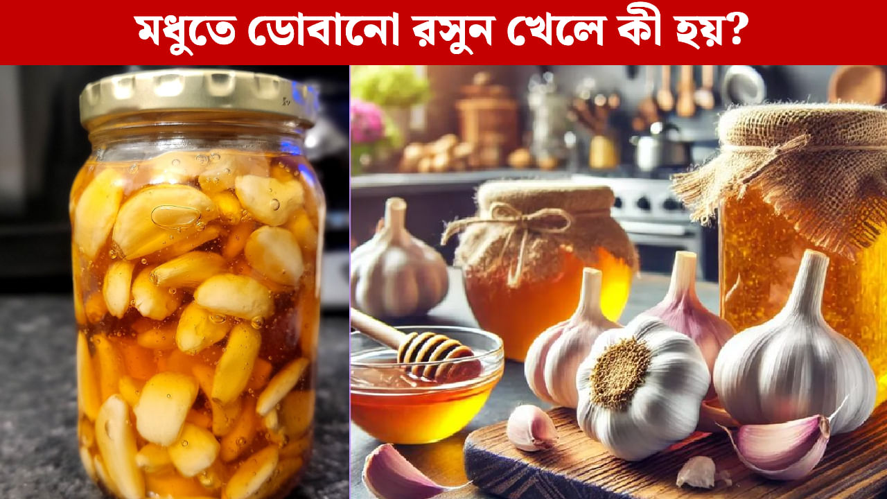 Garlic Honey: ট্রেন্ডে গা ভাসিয়ে মধুতে ডুবিয়ে রসুন খাচ্ছেন? জানেন শরীরের ভেতর কী ঘটছে?