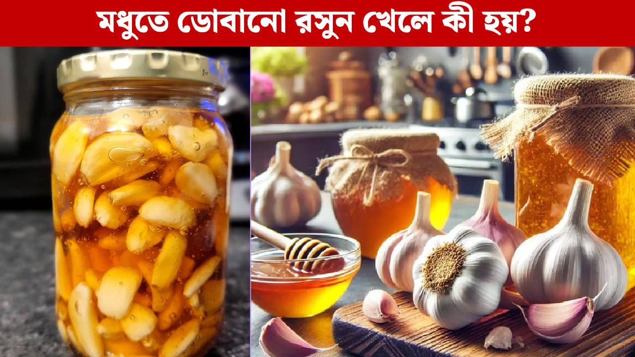 Garlic Honey: ট্রেন্ডে গা ভাসিয়ে মধুতে ডুবিয়ে রসুন খাচ্ছেন? জানেন শরীরের ভেতর কী ঘটছে?