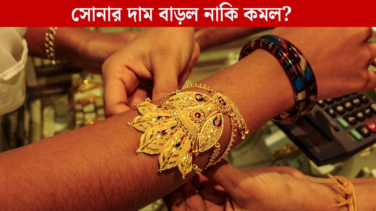 Gold Price Today: ধনতেরাসের আগে সোনার দামে বড় আপডেট, হলুদ ধাতু কি আরও দামি হয়ে গেল? Gold Price Today: ধনতেরাসের আগে সোনার দামে বড় আপডেট, হলুদ ধাতু কি আরও দামি হয়ে গেল?