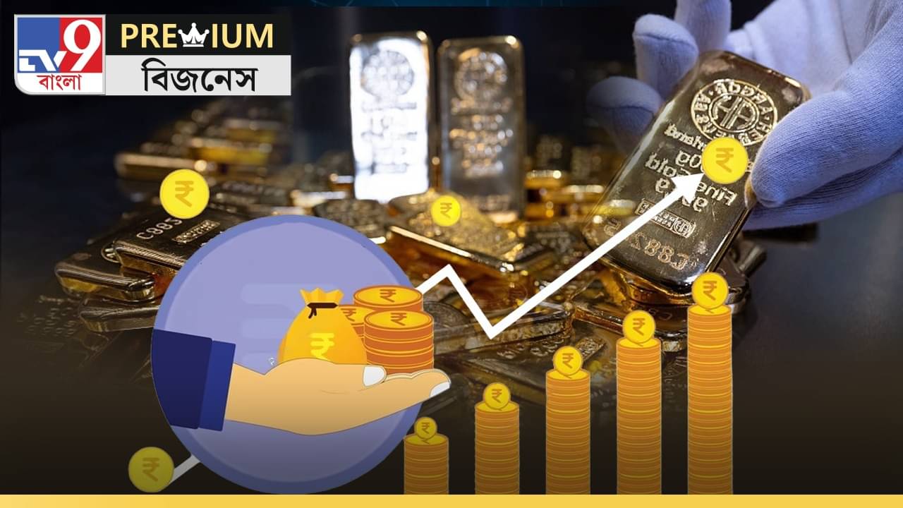Gold Investment Explained: ডিজিটাল সোনায় বিনিয়োগ করতে ETF ভালো নাকি Mutual Funds?