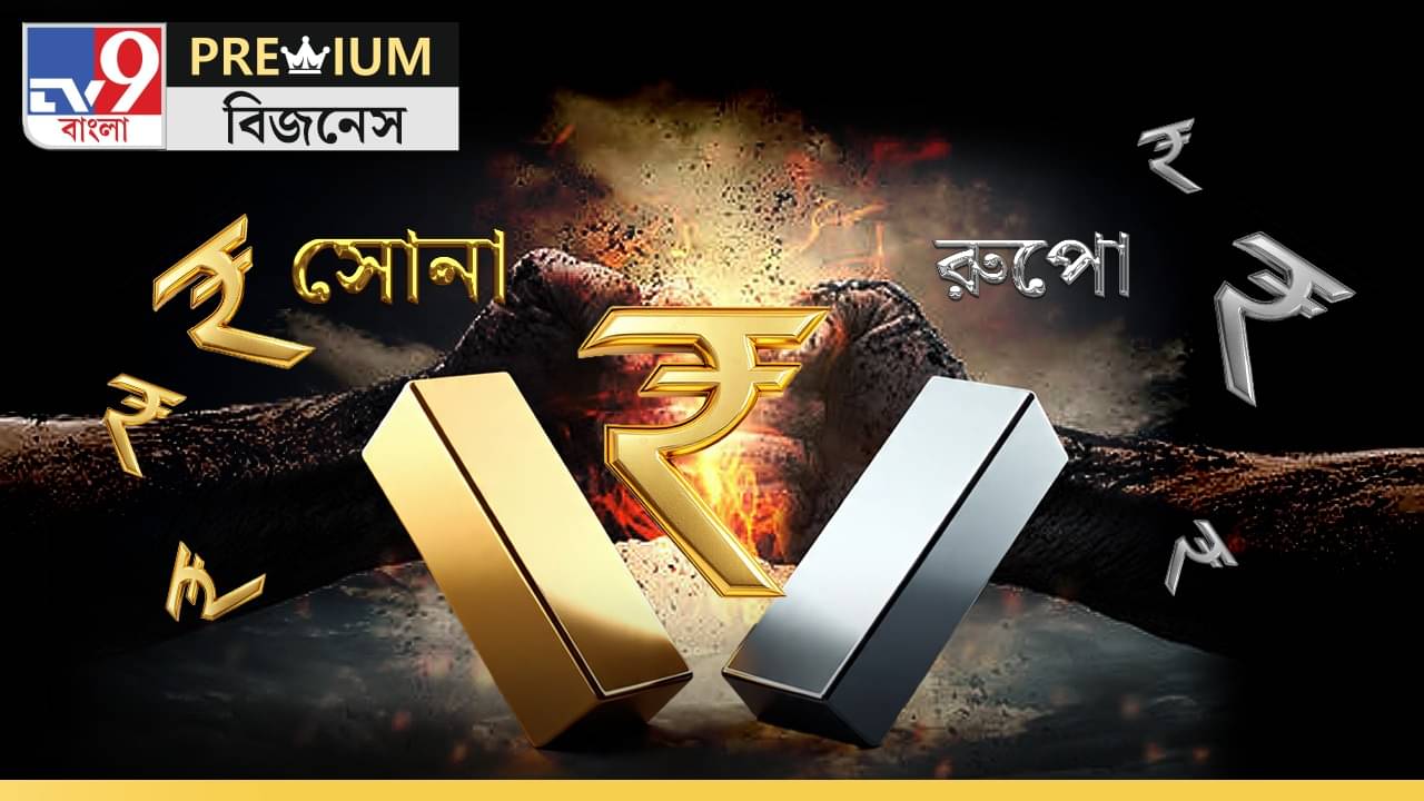 Gold vs Silver: এবার ধনতেরাসে সোনা না রুপো; কোথায় বিনিয়োগে লাভ বেশি?