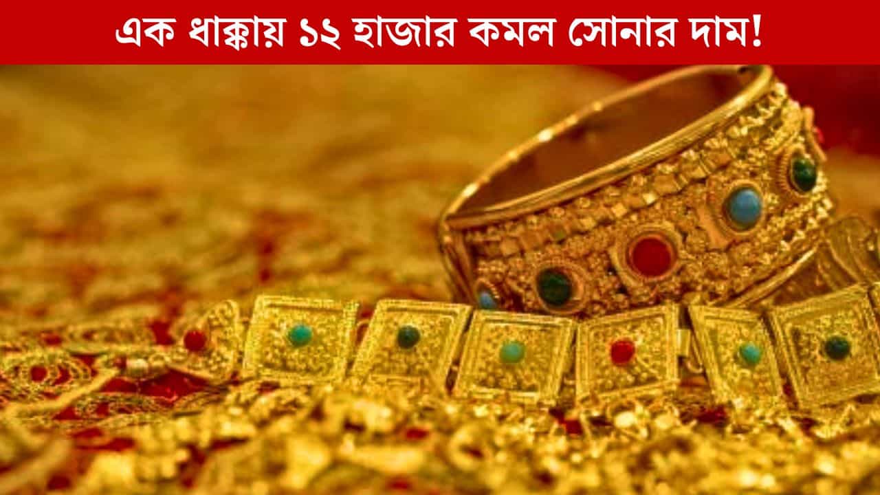 Gold Price Today: আকাশ থেকে পড়ছে... কমল ১২ হাজার, আরও পড়বে সোনা?