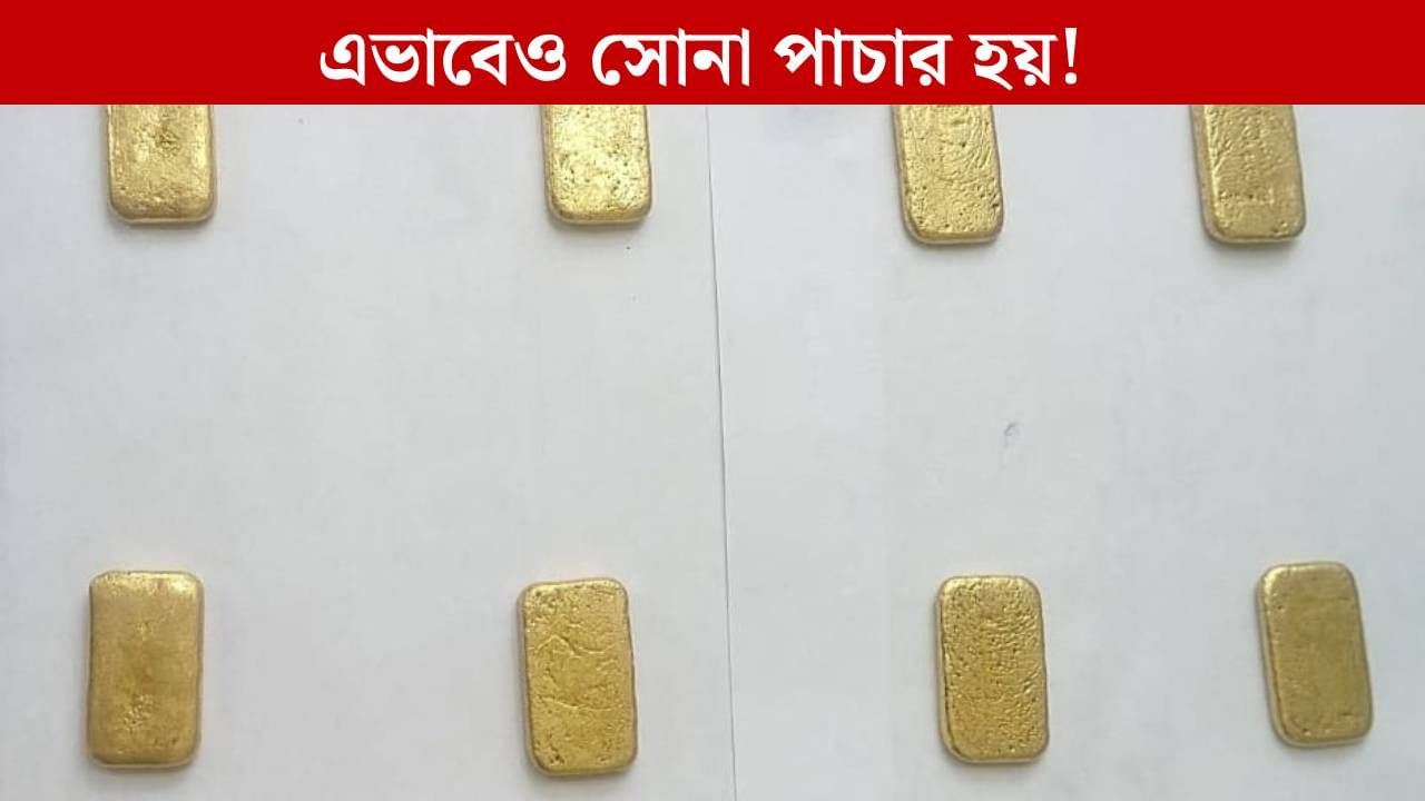 Gold smuggling: জমিতে 'ফলছে' সোনা, খুঁড়ে কোটি টাকার ৮টি বার উদ্ধার করল BSF