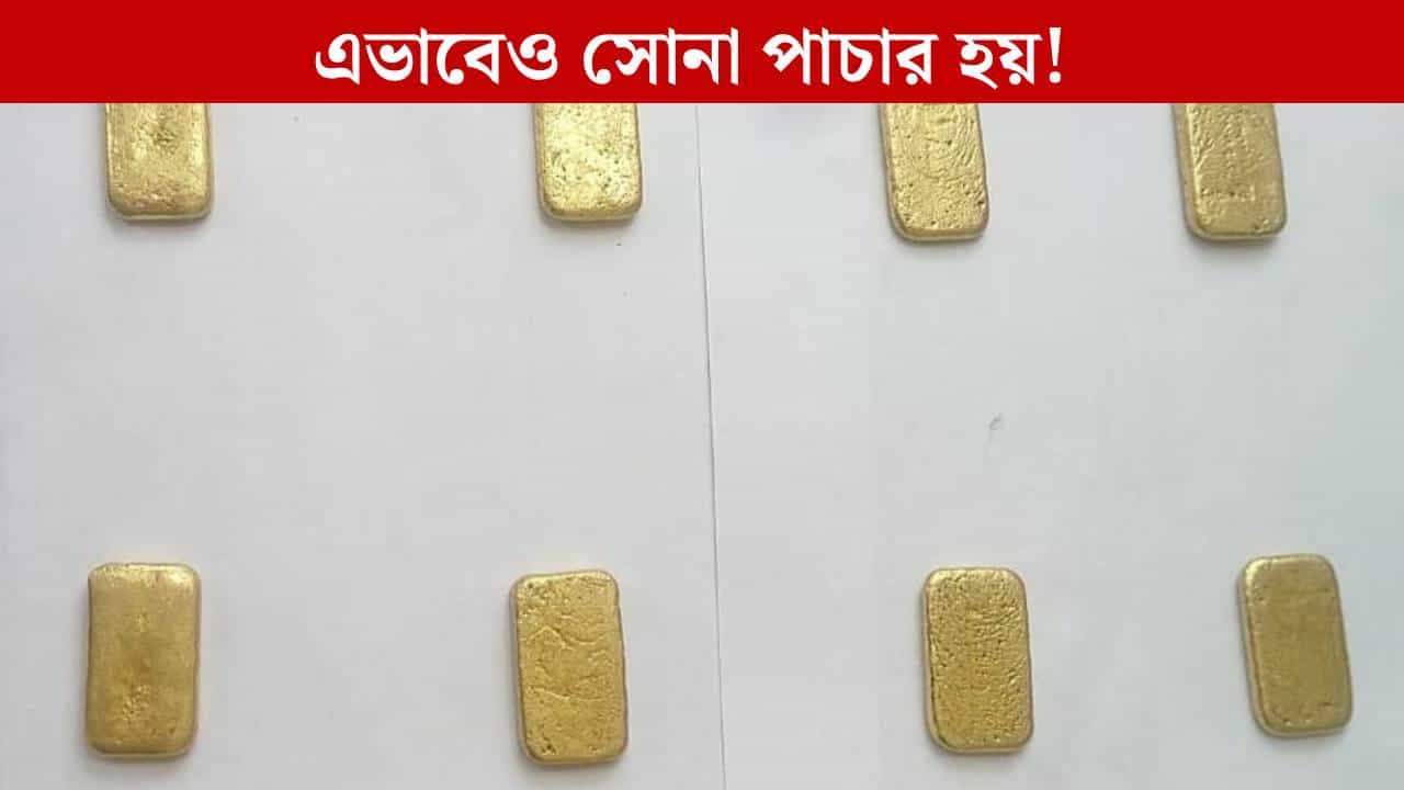 Gold smuggling: জমিতে 'ফলছে' সোনা, খুঁড়ে কোটি টাকার ৮টি বার উদ্ধার করল BSF Gold smuggling: জমিতে 'ফলছে' সোনা, খুঁড়ে কোটি টাকার ৮টি বার উদ্ধার করল BSF
