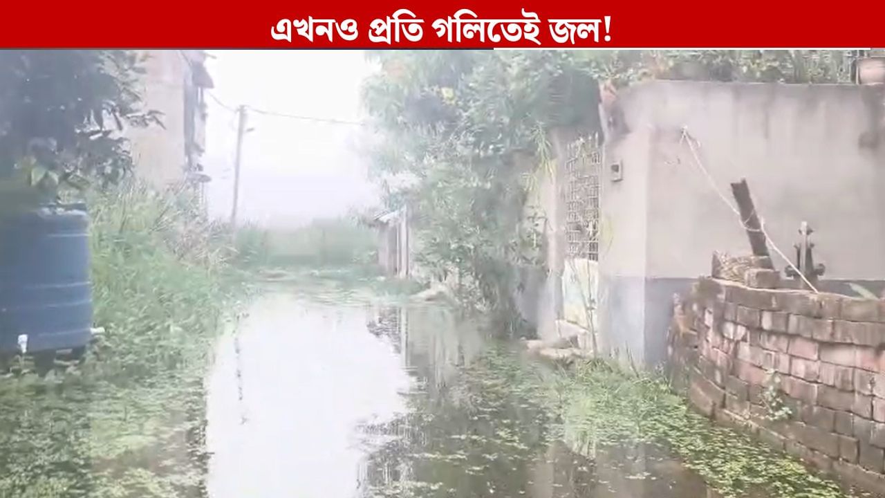 Haridevpur: কলকাতার মধ্যেই এক টুকরো গ্রাম, প্রতিটি গলিতে চলছে নৌকা