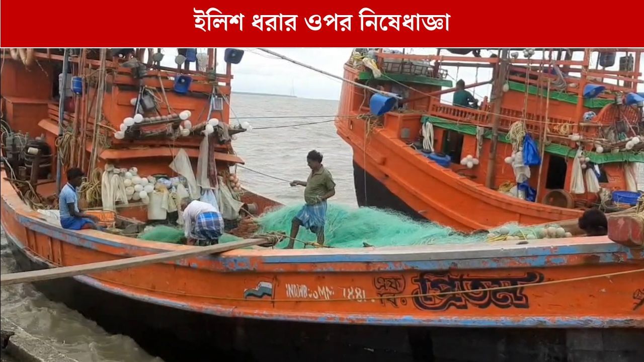 Diamond Harbour: লক্ষ্য ইলিশ সংরক্ষণ, মাছ ধরার ওপর নিষেধাজ্ঞা জারি মৎস্য দফতরের Diamond Harbour: লক্ষ্য ইলিশ সংরক্ষণ, মাছ ধরার ওপর নিষেধাজ্ঞা জারি মৎস্য দফতরের
