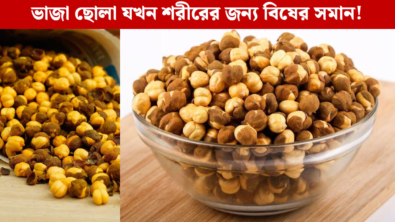 Roasted Chana: শরীরের উপকার হবে ভেবে ছোলা ভাজা খাচ্ছেন? এতেই লুকিয়ে 'বিষ'! Roasted Chana: শরীরের উপকার হবে ভেবে ছোলা ভাজা খাচ্ছেন? এতেই লুকিয়ে 'বিষ'!