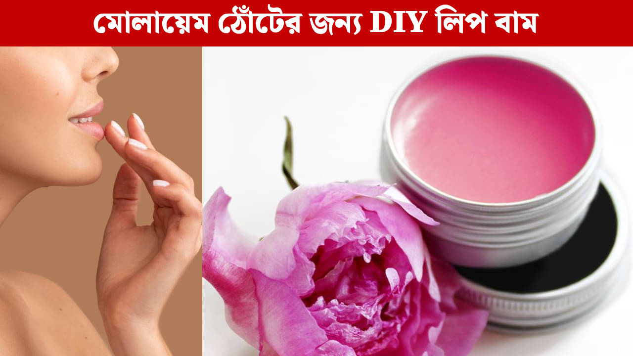 DIY Lip Balm: শীতে ঠোঁটের জাদু, বাড়িতেই বানান ঠোঁট নরম রাখতে সম্পূর্ণ প্রাকৃতিক লিপ বাম!