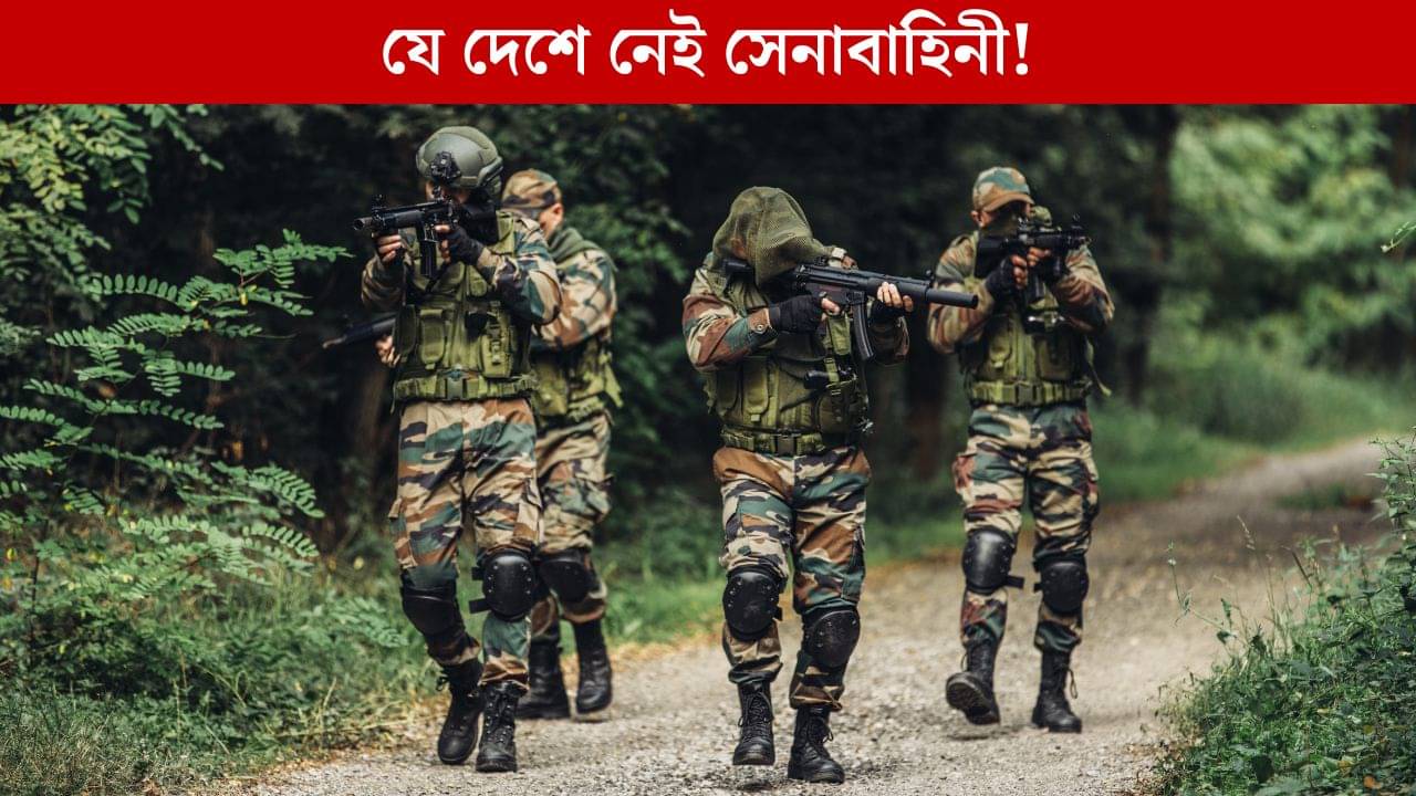 Countries Without Armed Forces: নেই সেনাবাহিনী, প্রতিরক্ষায় খরচ হয় না এক পয়সাও, যে ভাবে এই ৫ দেশ চলে!