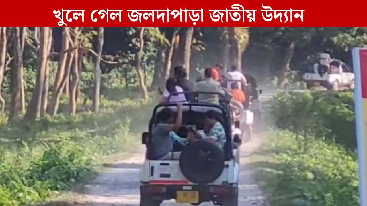 Alipurduar: ১৫ দিন পর খুলল জলদাপাড়া জাতীয় উদ্যানের দরজা, ভিড় করলেন পর্যটকরা