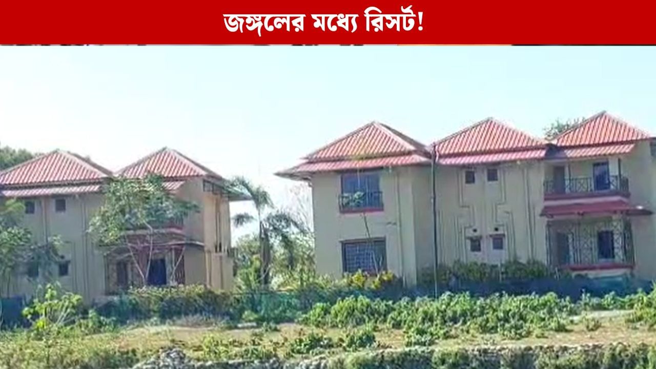 Alipurduar: জঙ্গল কেটে রিসর্ট? ব্যবস্থা কোথায়? উঠছে প্রশ্ন