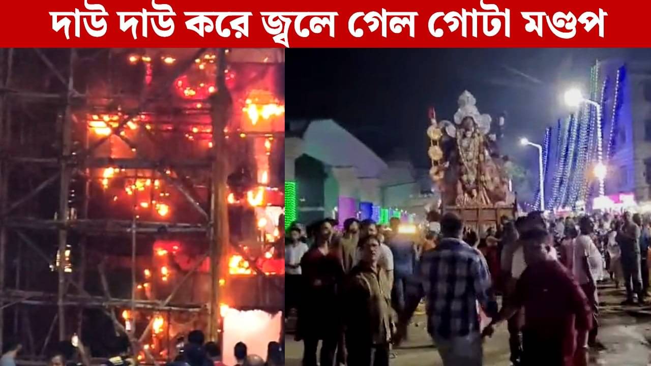 Kali Puja: চিংড়িঘাটায় ভয়াবহ আগুন, চোখের পলকে দাউ দাউ করে জ্বলে গেল কালীপুজোর বিশাল মণ্ডপ