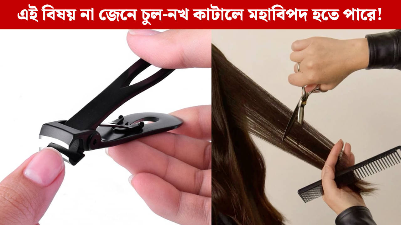 Kartik Month 2025: কার্তিক মাসে চুল ও নখ কি কাটা উচিত? শাস্ত্র বলছে...