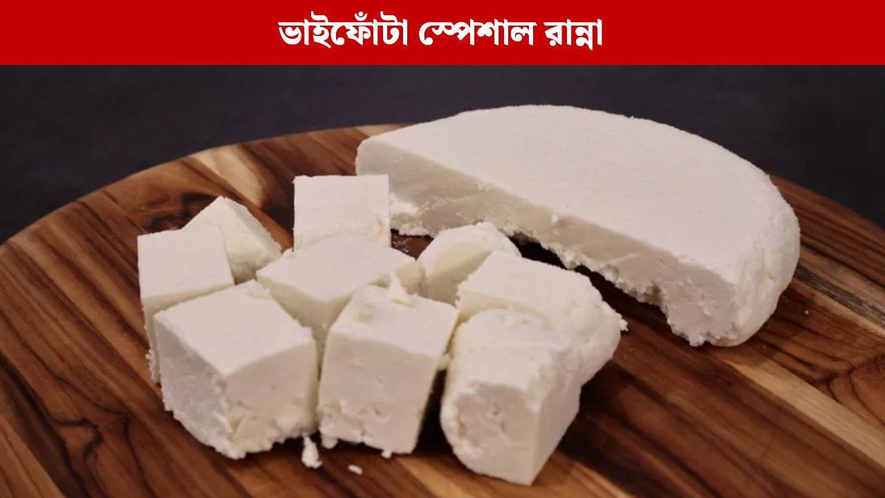 পনিরের এই রেসিপিটা একবার খেলে বার বার খেতে চাইবেন