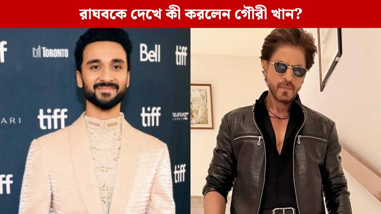 শাহরুখের 'মন্নত'-এ জমিয়ে পার্টি রাঘবের, কী কী ঘটল বাদশার অন্দরমহলে? শাহরুখের 'মন্নত'-এ জমিয়ে পার্টি রাঘবের, কী কী ঘটল বাদশার অন্দরমহলে?