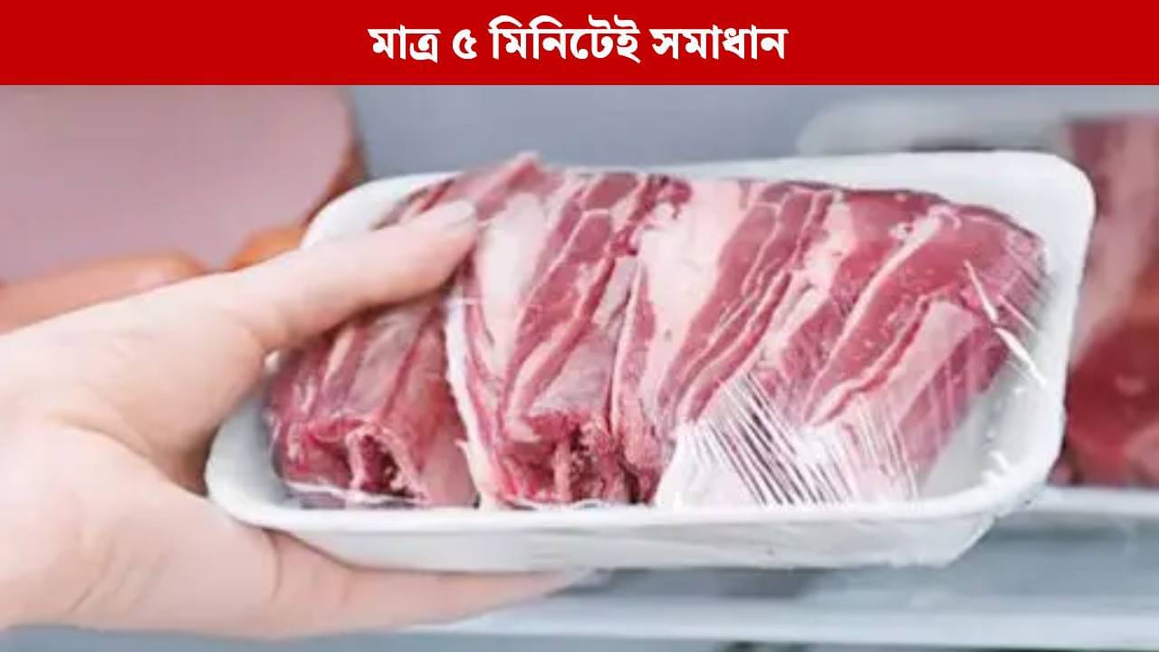 ডিপ ফ্রিজে রাখা মাছ-মাংসের বরফ ছাড়াতে নাজেহাল? এই সহজ ট্রিকেই মুশকিল আসান