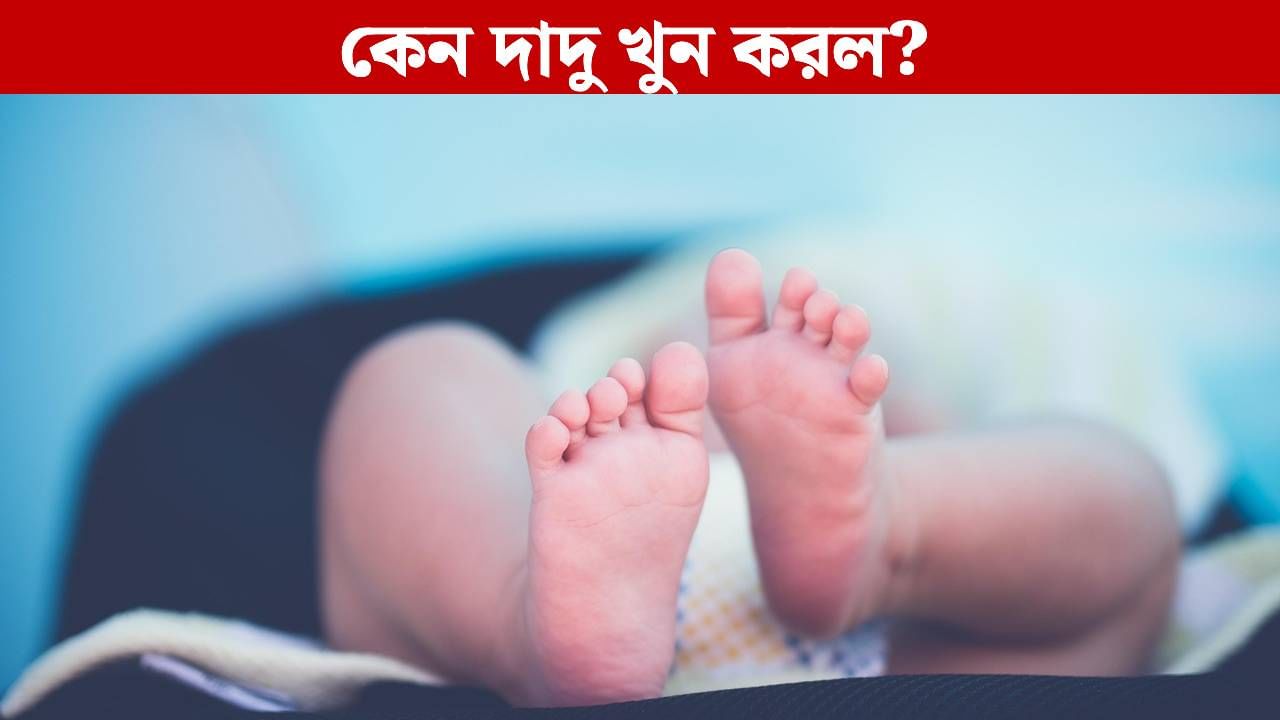 Child Death: সারা শরীরে ক্ষত, রক্তে ভাসছিল গোটা ঘর, ৪ বছরের শিশুকন্যার মৃত্যুতে গ্রেফতার দাদু Child Death: সারা শরীরে ক্ষত, রক্তে ভাসছিল গোটা ঘর, ৪ বছরের শিশুকন্যার মৃত্যুতে গ্রেফতার দাদু