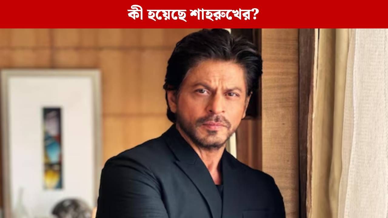এবার দিওয়ালি পার্টি দিচ্ছেন না শাহরুখ! কেন এমন সিদ্ধান্ত নিলেন বাদশা? এবার দিওয়ালি পার্টি দিচ্ছেন না শাহরুখ! কেন এমন সিদ্ধান্ত নিলেন বাদশা?