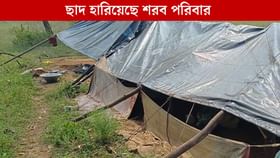 তিনজনের মৃত্যুর পরও হেলদোল নেই! প্লাস্টিকের তলায় দিন কাটছে পরিবারের