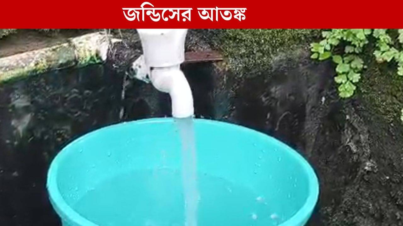 Jaundice in WB: কলের জল থেকেই ছড়াচ্ছে জন্ডিস! বাড়ছে আতঙ্ক