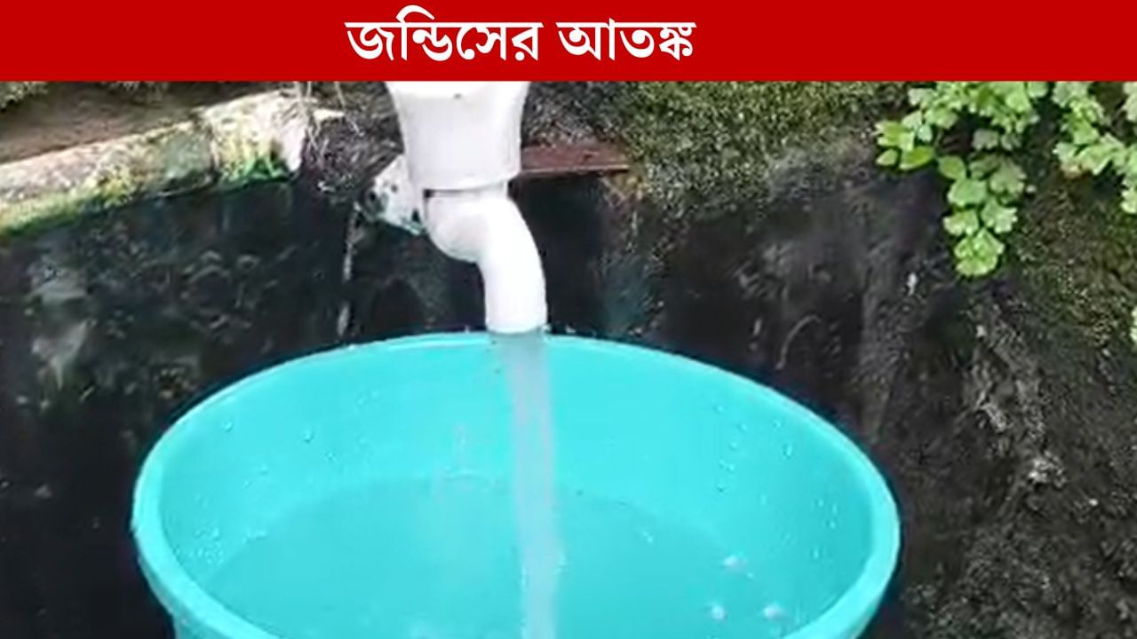 Jaundice in WB: কলের জল থেকেই ছড়াচ্ছে জন্ডিস! বাড়ছে আতঙ্ক Jaundice in WB: কলের জল থেকেই ছড়াচ্ছে জন্ডিস! বাড়ছে আতঙ্ক