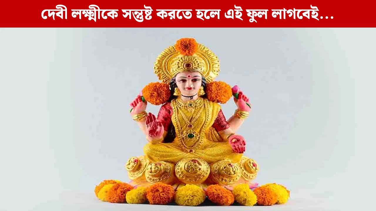 Laxmi Puja 2025: লক্ষ্মীপুজোয় কোন কোন ফুল অর্পণ করতেই হয়? কোন ফুল দেবীর সবচেয়ে প্রিয়?