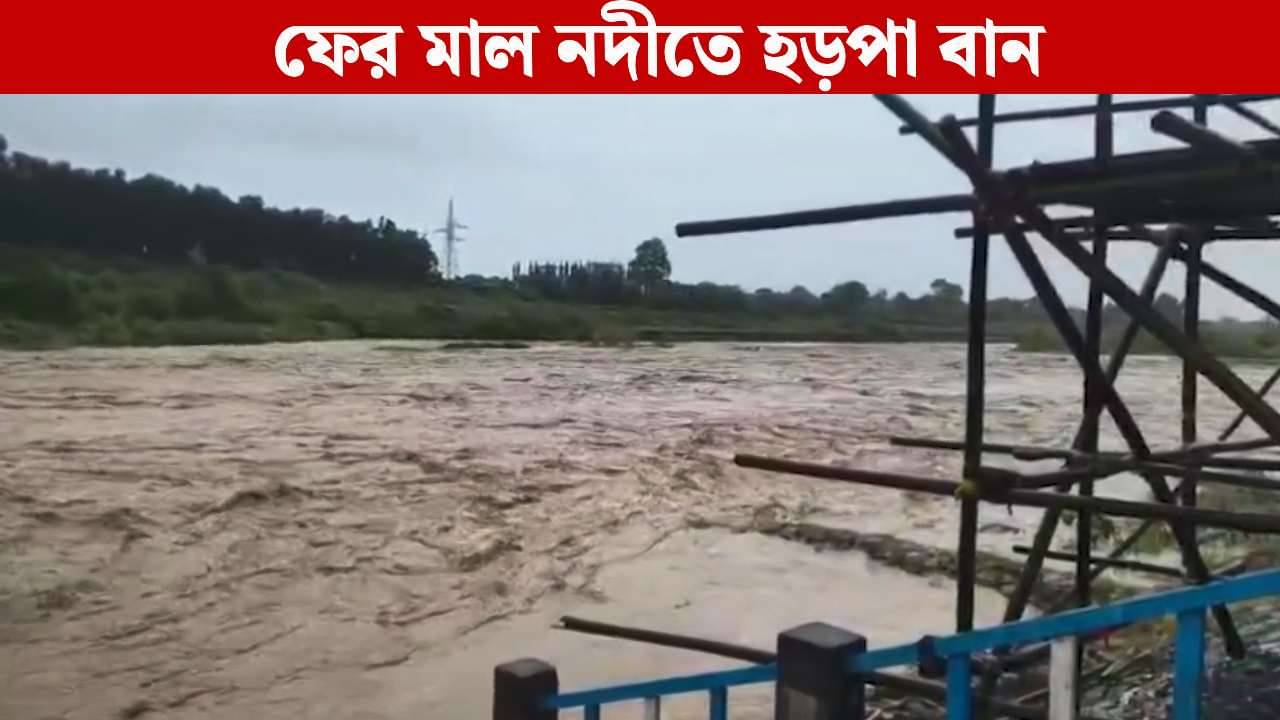 Flash Flood: ৩ বছর আগের স্মৃতি উস্কে ফের মাল নদীতে হড়পা বান, দশমীর আগে তীব্র আতঙ্ক