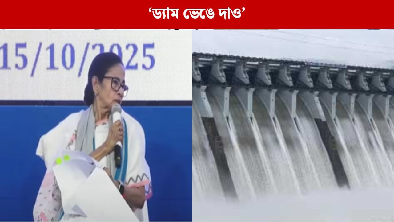 Mamata Banerjee: 'ড্রেজিং না করলে ড্যাম রাখার প্রয়োজনীয়তা কী?', ড্যাম ভেঙে ফেলার পক্ষে সওয়াল মমতার Mamata Banerjee: 'ড্রেজিং না করলে ড্যাম রাখার প্রয়োজনীয়তা কী?', ড্যাম ভেঙে ফেলার পক্ষে সওয়াল মমতার