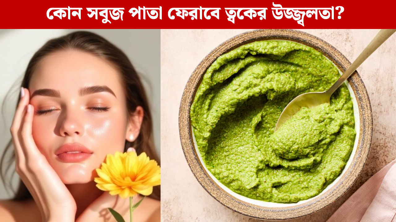 Face Mask: নিম না তুলসী, ত্বকের জেল্লা ফেরাতে কোন হার্বাল মাস্কে লুকিয়ে আছে আসল ম্যাজিক? Face Mask: নিম না তুলসী, ত্বকের জেল্লা ফেরাতে কোন হার্বাল মাস্কে লুকিয়ে আছে আসল ম্যাজিক?