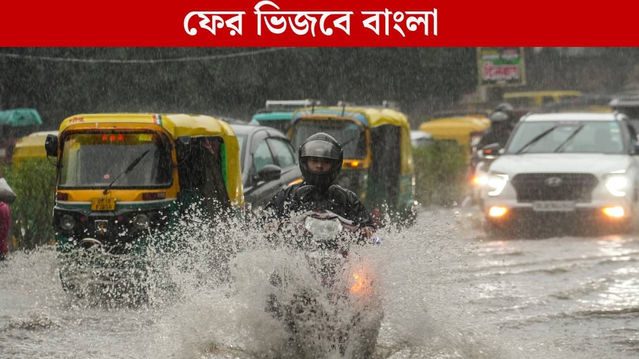 Weather Update: উইকেন্ডে আবার বৃষ্টি! কোন জেলায় কবে বৃষ্টি, কী বলছে হাওয়া অফিস Weather Update: উইকেন্ডে আবার বৃষ্টি! কোন জেলায় কবে বৃষ্টি, কী বলছে হাওয়া অফিস