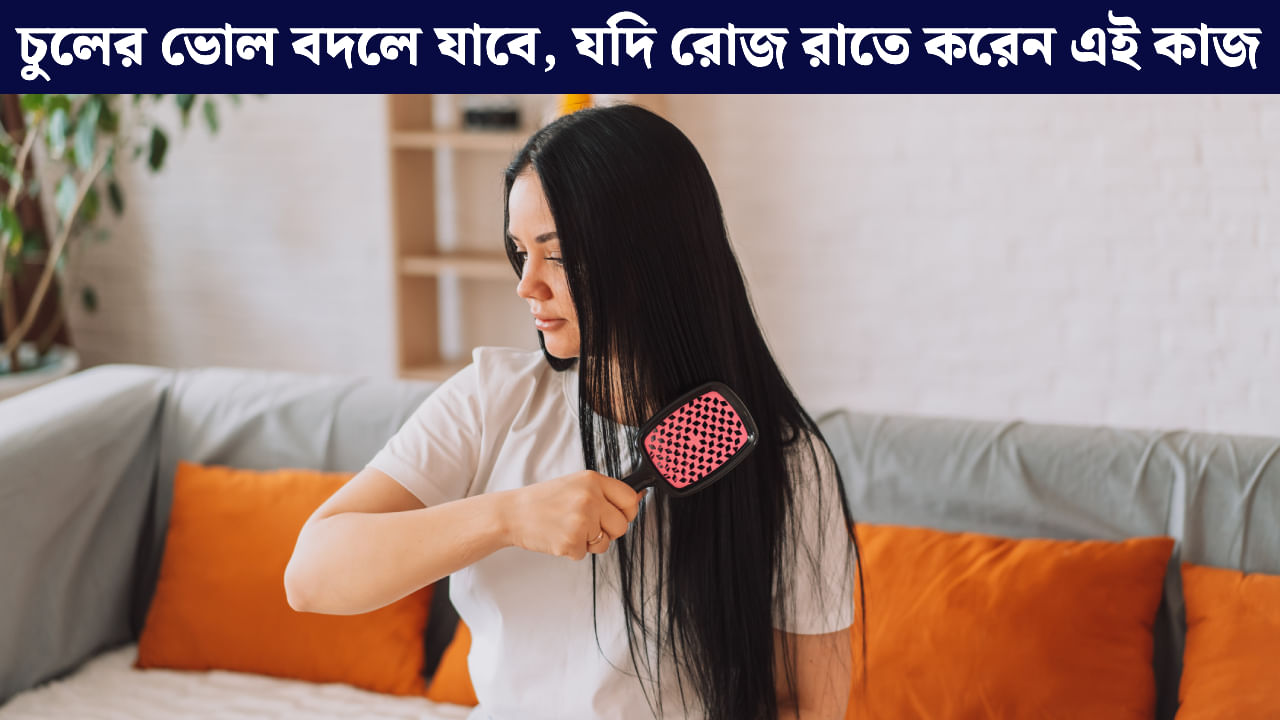 Night Hair Care Tips: রাতে ঘুমোতে যাওয়ার আগে করুন এই ৫ কাজ, চুল হবে সিল্কি আর জেল্লাদার Night Hair Care Tips: রাতে ঘুমোতে যাওয়ার আগে করুন এই ৫ কাজ, চুল হবে সিল্কি আর জেল্লাদার