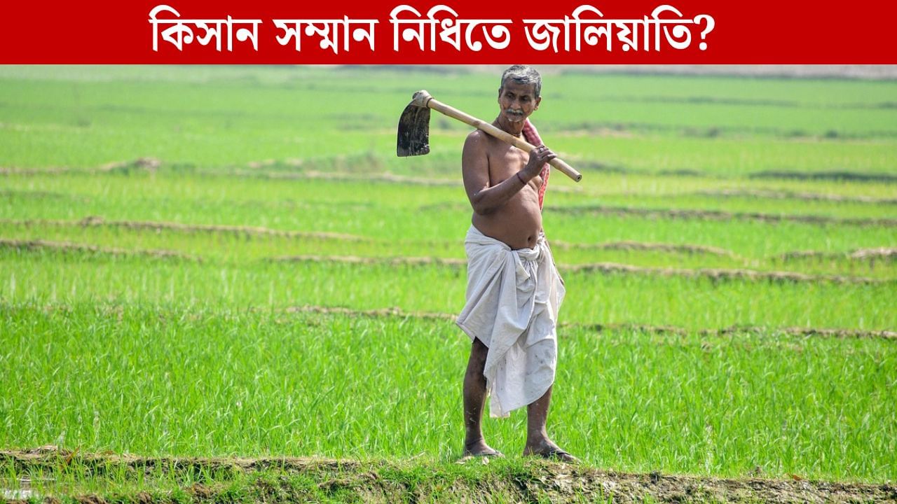 PM Kisan Yojana: স্বামী-স্ত্রী দুজনেই পাচ্ছেন কিসান সম্মান নিধির টাকা! ৩১ লক্ষ গ্রাহকের খোঁজ পেল কেন্দ্র PM Kisan Yojana: স্বামী-স্ত্রী দুজনেই পাচ্ছেন কিসান সম্মান নিধির টাকা! ৩১ লক্ষ গ্রাহকের খোঁজ পেল কেন্দ্র