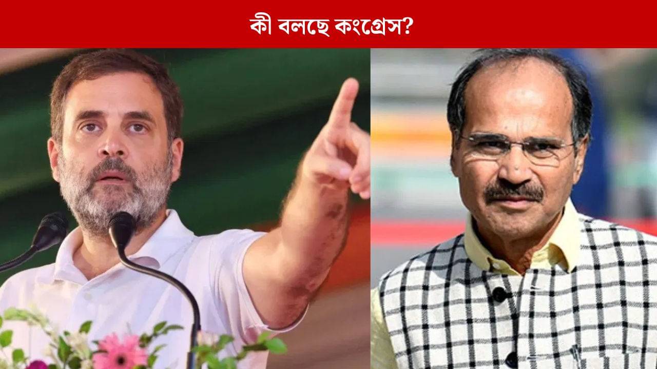 Rahul Gandhi: বাংলায় নির্বাচনী প্রচার কবে শুরু করবেন রাহুল? ইঙ্গিত দিল কংগ্রেস, নির্বাচনে বড় দায়িত্ব পাচ্ছেন অধীরও